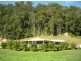981 Tyalgum Road, Eungella NSW 2484