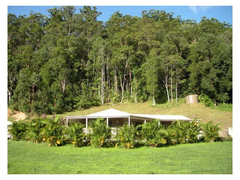 981 Tyalgum Road, Eungella NSW 2484