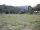 981 Tyalgum Road, Eungella NSW 2484