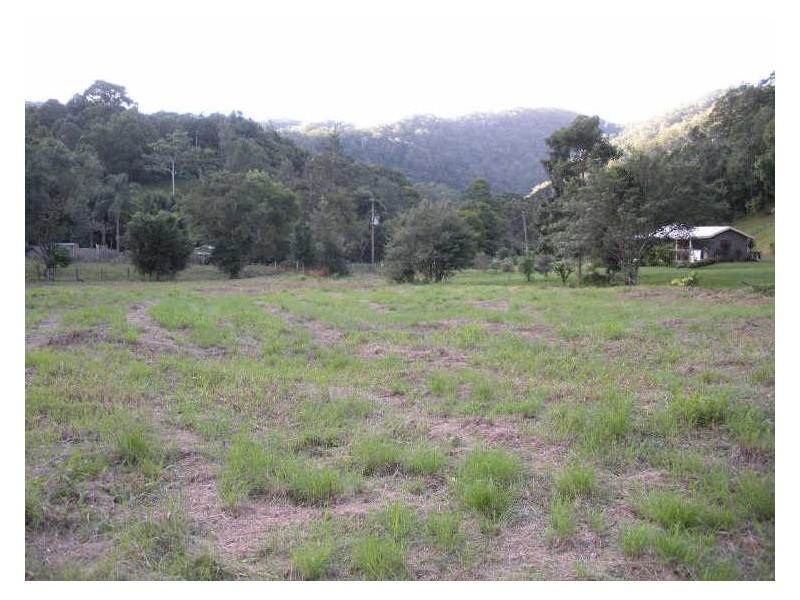 981 Tyalgum Road, Eungella NSW 2484