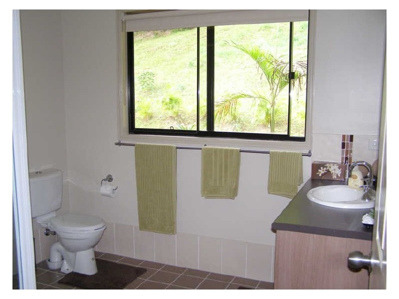 981 Tyalgum Road, Eungella NSW 2484