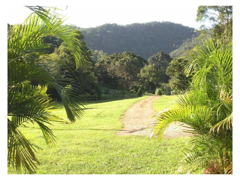 981 Tyalgum Road, Eungella NSW 2484