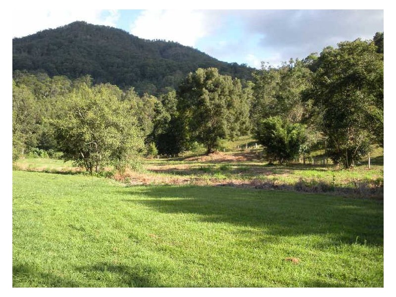 981 Tyalgum Road, Eungella NSW 2484