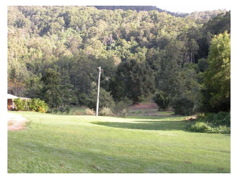 981 Tyalgum Road, Eungella NSW 2484