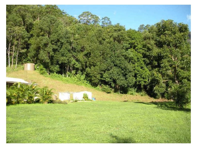 981 Tyalgum Road, Eungella NSW 2484
