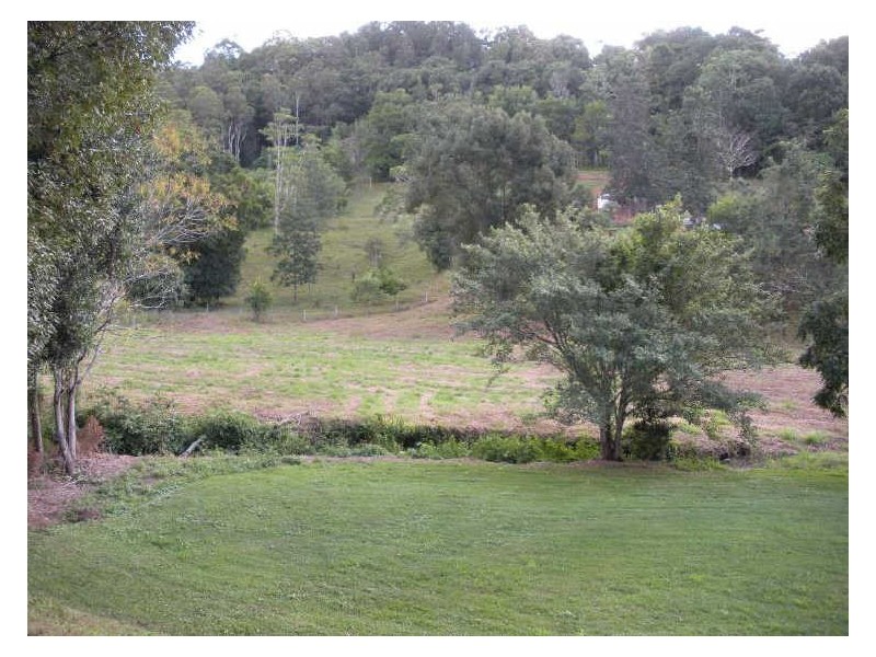981 Tyalgum Road, Eungella NSW 2484