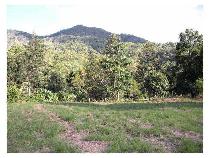 981 Tyalgum Road, Eungella NSW 2484