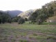 981 Tyalgum Road, Eungella NSW 2484