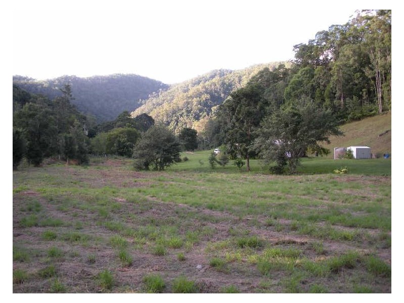 981 Tyalgum Road, Eungella NSW 2484