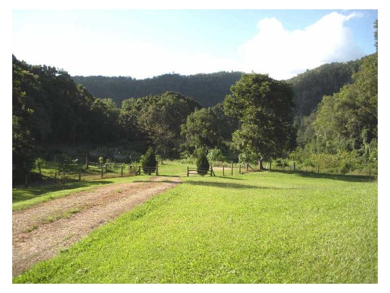 981 Tyalgum Road, Eungella NSW 2484