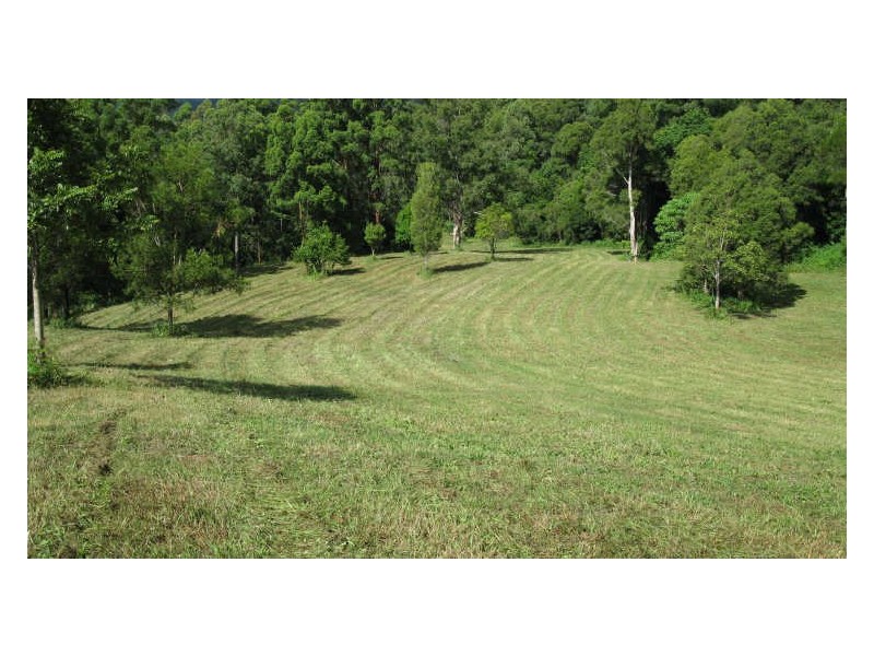 Lot 79 South Pumpenbil Road, Tyalgum NSW 2484