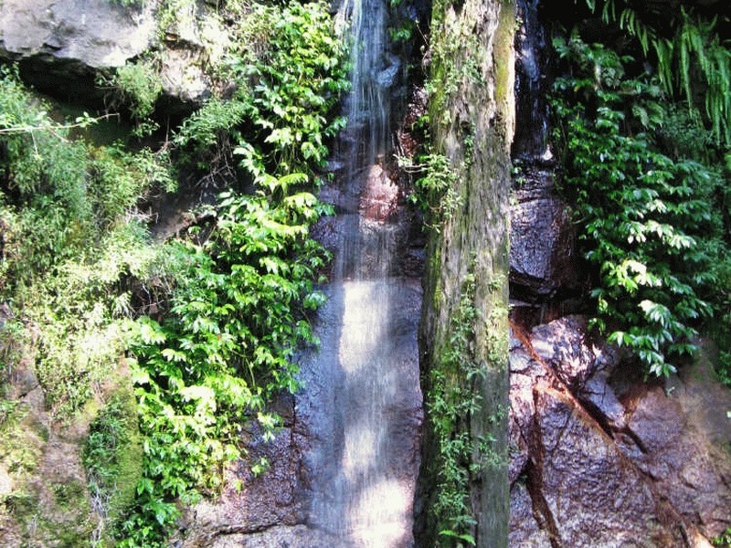 Lot 79 South Pumpenbil Road, Tyalgum NSW 2484