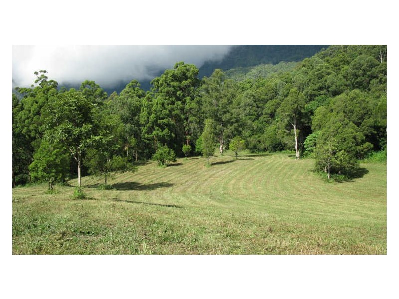 Lot 79 South Pumpenbil Road, Tyalgum NSW 2484