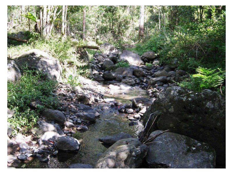 Lot 79 South Pumpenbil Road, Tyalgum NSW 2484