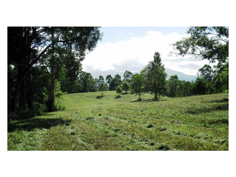 Lot 79 South Pumpenbil Road, Tyalgum NSW 2484
