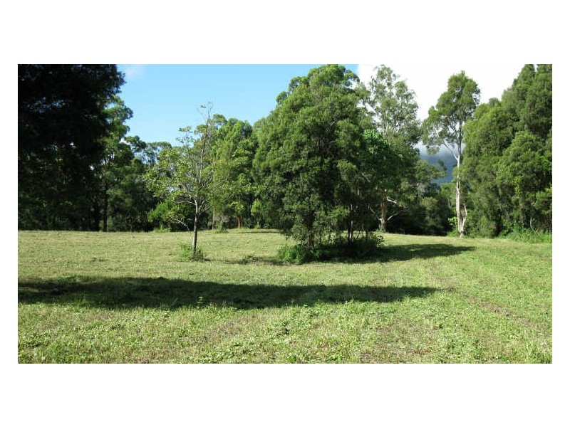 Lot 79 South Pumpenbil Road, Tyalgum NSW 2484
