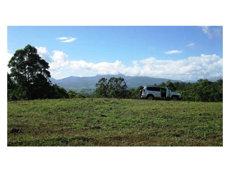 Lot 79 South Pumpenbil Road, Tyalgum NSW 2484
