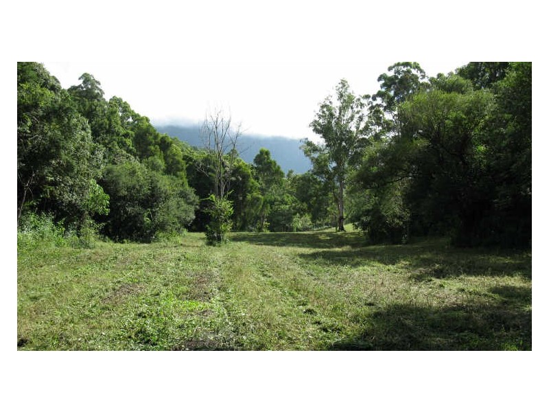 Lot 79 South Pumpenbil Road, Tyalgum NSW 2484