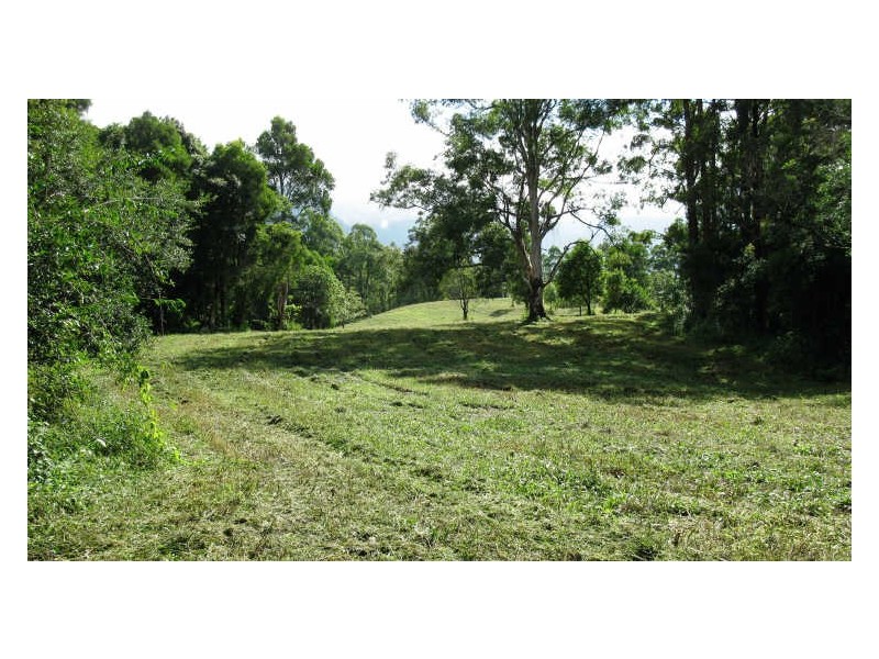 Lot 79 South Pumpenbil Road, Tyalgum NSW 2484