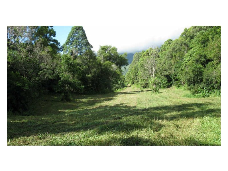 Lot 79 South Pumpenbil Road, Tyalgum NSW 2484