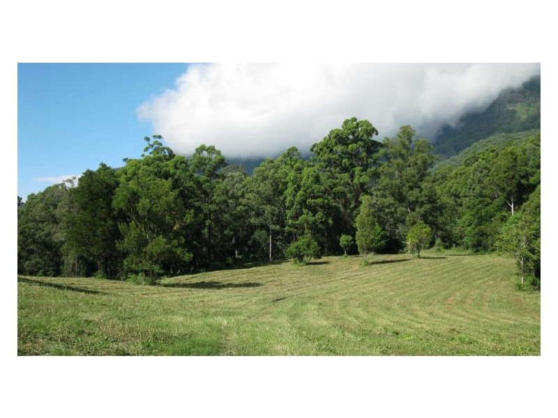 Lot 79 South Pumpenbil Road, Tyalgum NSW 2484