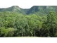 Lot 79 South Pumpenbil Road, Tyalgum NSW 2484