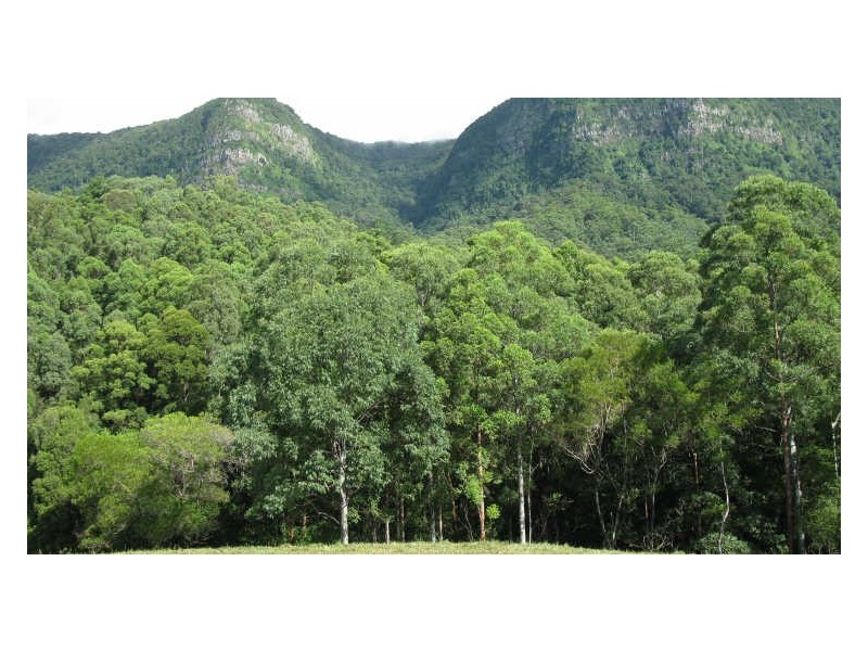 Lot 79 South Pumpenbil Road, Tyalgum NSW 2484
