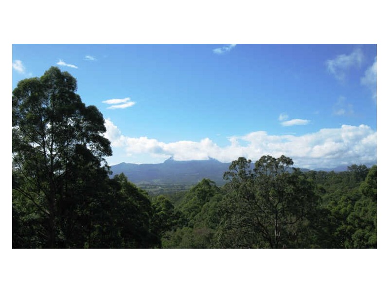 Lot 79 South Pumpenbil Road, Tyalgum NSW 2484