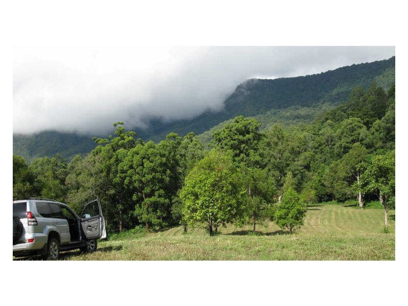 Lot 79 South Pumpenbil Road, Tyalgum NSW 2484