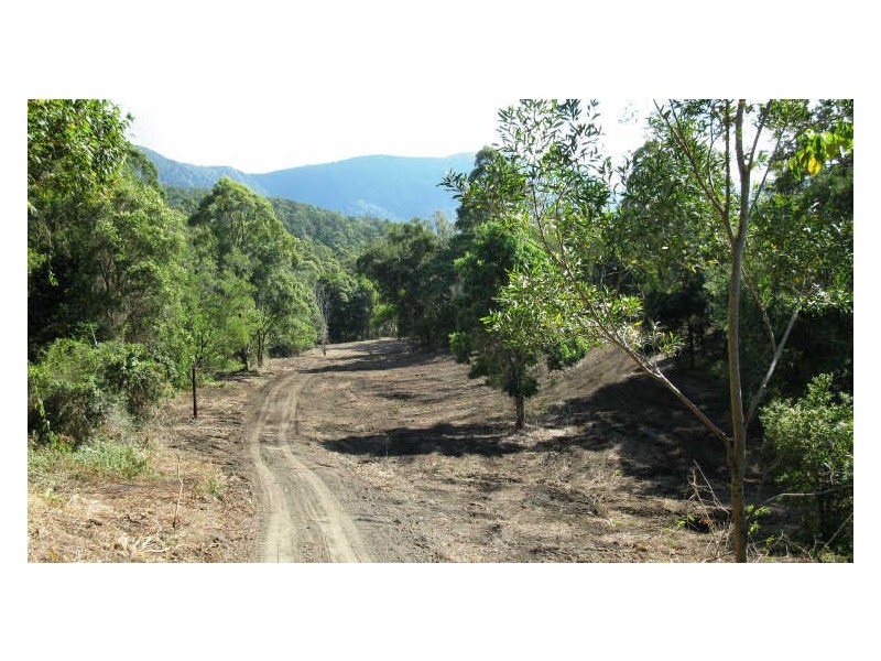 Lot 79 South Pumpenbil Road, Tyalgum NSW 2484