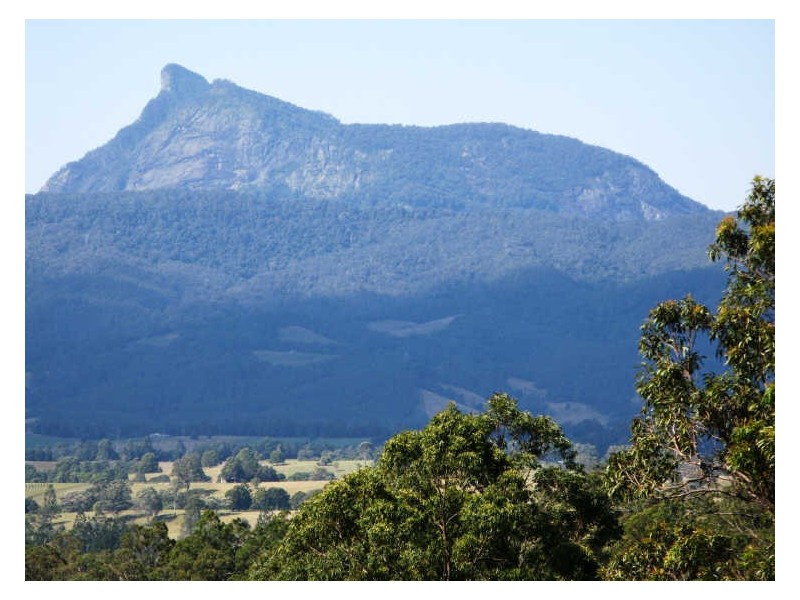 Lot 79 South Pumpenbil Road, Tyalgum NSW 2484