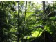 Lot 79 South Pumpenbil Road, Tyalgum NSW 2484