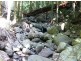 Lot 79 South Pumpenbil Road, Tyalgum NSW 2484
