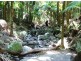 Lot 79 South Pumpenbil Road, Tyalgum NSW 2484