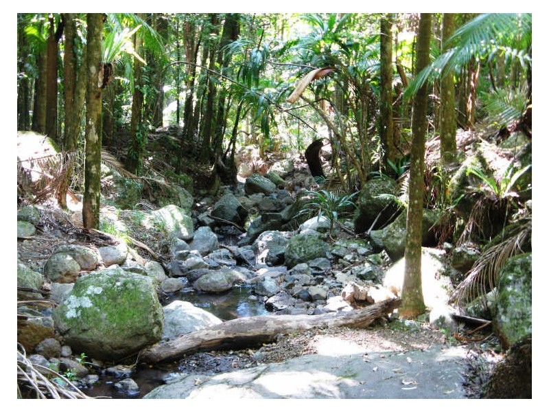 Lot 79 South Pumpenbil Road, Tyalgum NSW 2484