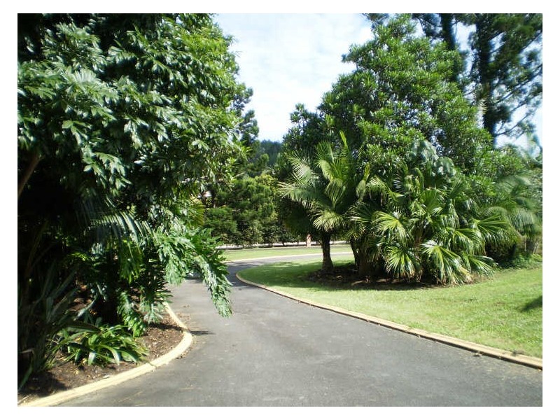 23 Pinegold Place, Nunderi NSW 2484