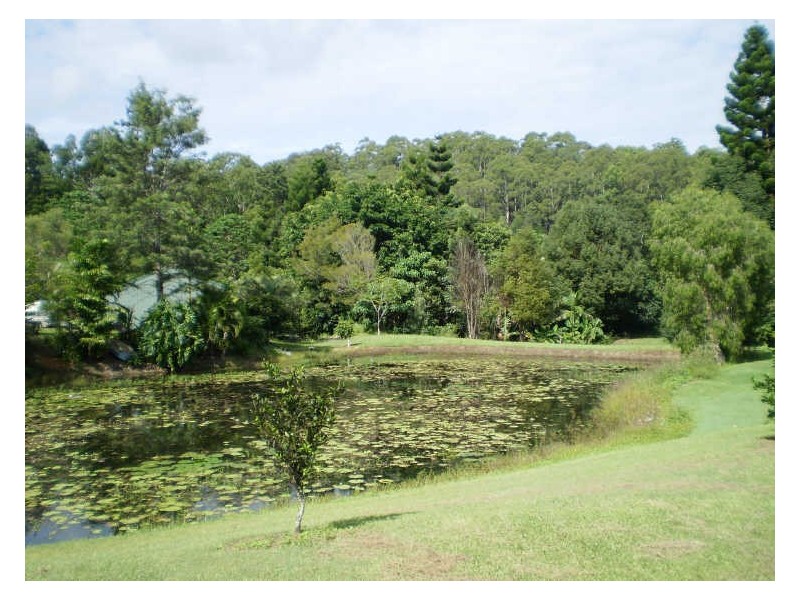 23 Pinegold Place, Nunderi NSW 2484