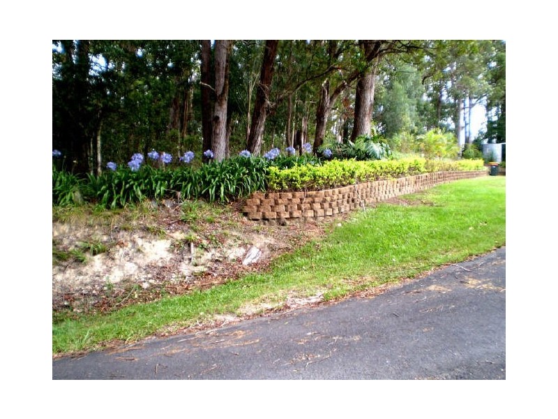 Murwillumbah NSW 2484