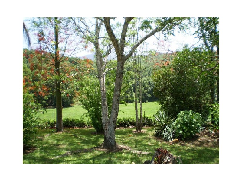 Murwillumbah NSW 2484