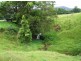 Murwillumbah NSW 2484