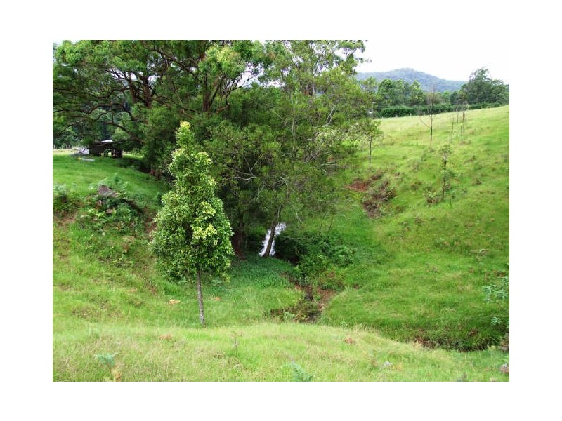 Murwillumbah NSW 2484