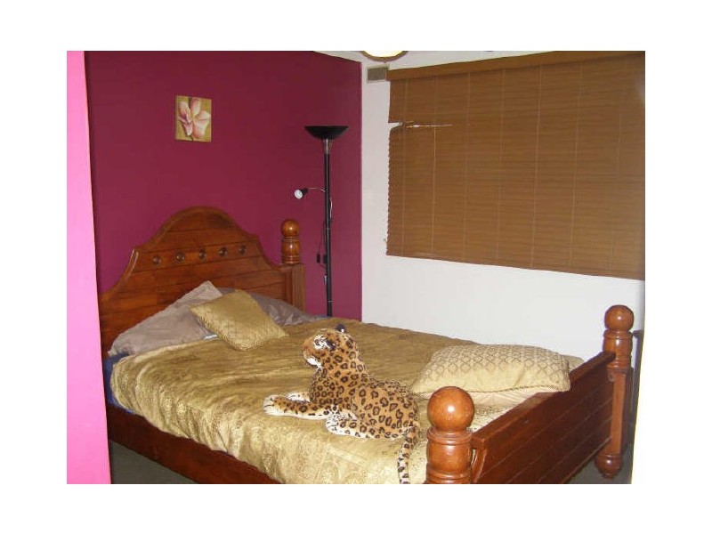 Murwillumbah NSW 2484