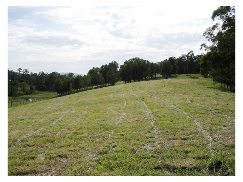 Lot 21 Starlight Way, Pumpenbil NSW 2484