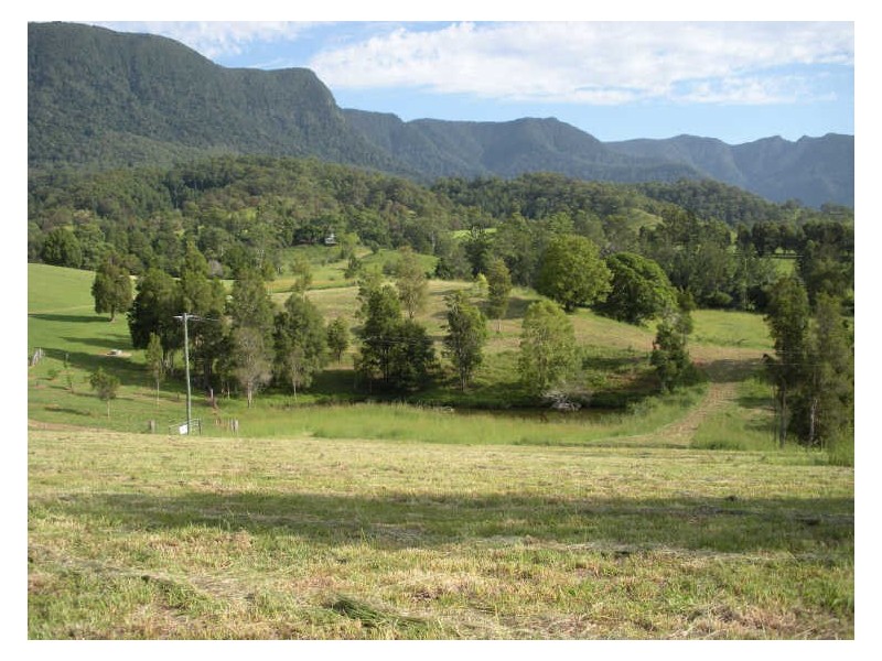 Lot 21 Starlight Way, Pumpenbil NSW 2484