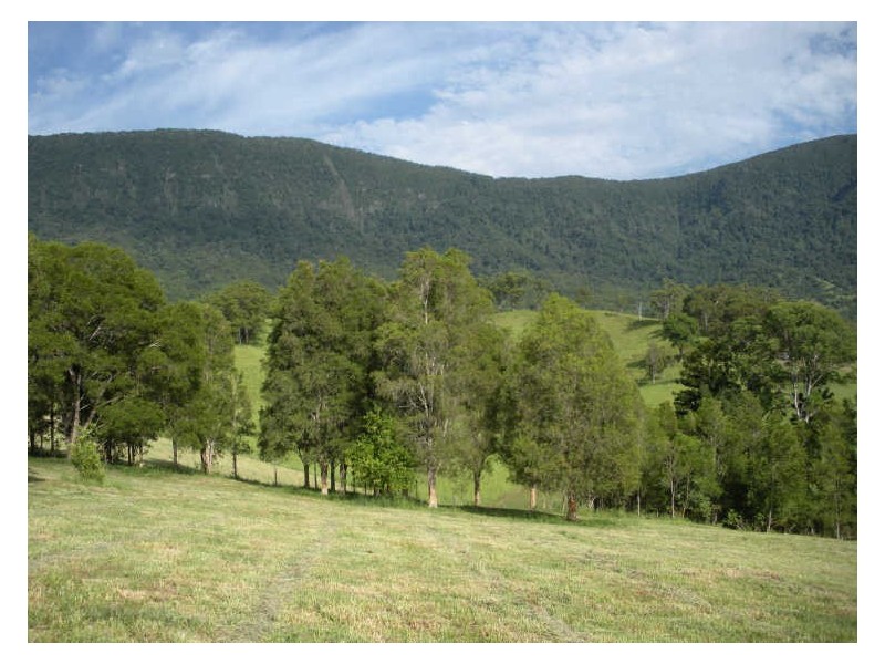 Lot 21 Starlight Way, Pumpenbil NSW 2484