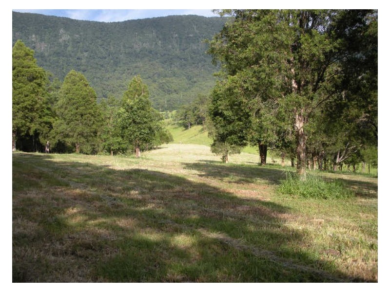 Lot 21 Starlight Way, Pumpenbil NSW 2484