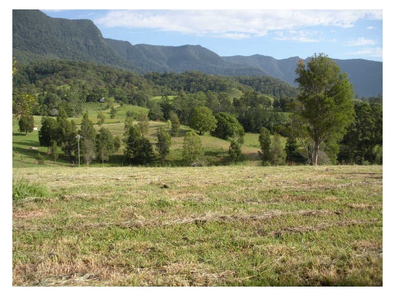 Lot 21 Starlight Way, Pumpenbil NSW 2484
