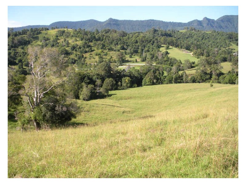 Lot 2 Mandalay Road, Kunghur NSW 2484