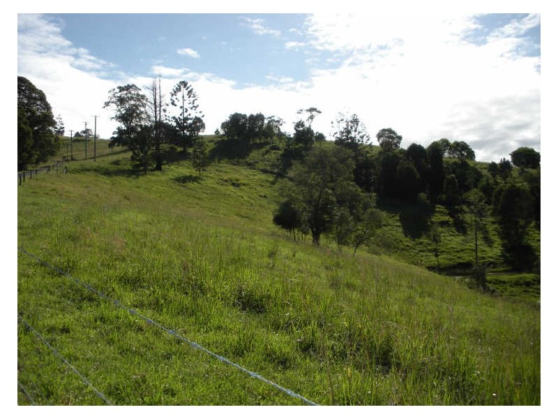 Lot 2 Mandalay Road, Kunghur NSW 2484