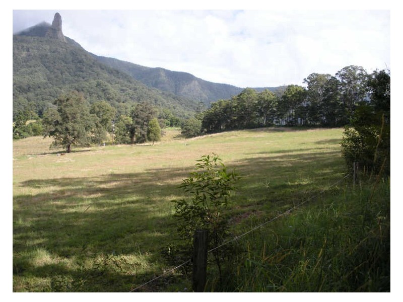 481 Pinnacle Road, Tyalgum NSW 2484